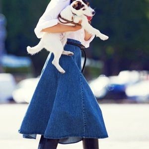 Epic Vintage Denim Skirt